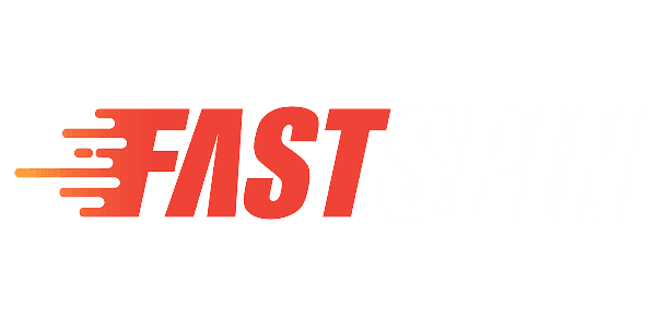 Visa partner logo