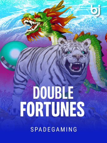 ডাবল ফরচুন্স game thumbnail