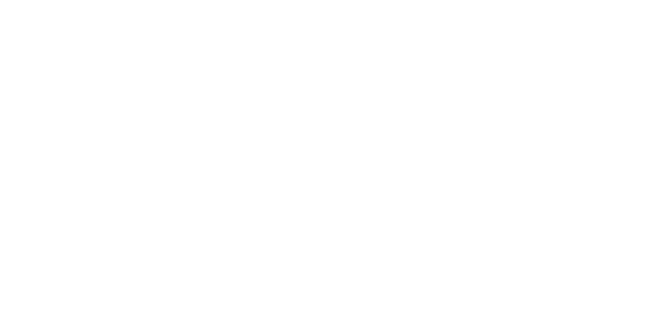 Evolution partner logo